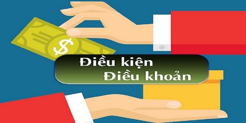 Các điều khoản & điều kiện áp dụng trong quy trình đăng ký